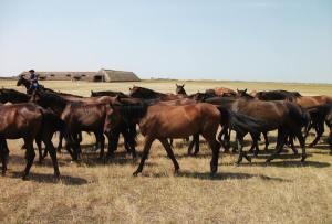 998404_548447211868066_978174583_n