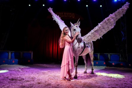 62503382_1529163447218831_9103065583372468224_n