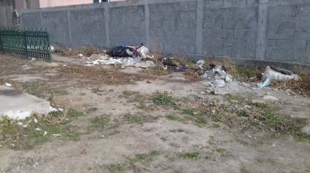 83878376_511748282802814_5672692242192531456_n